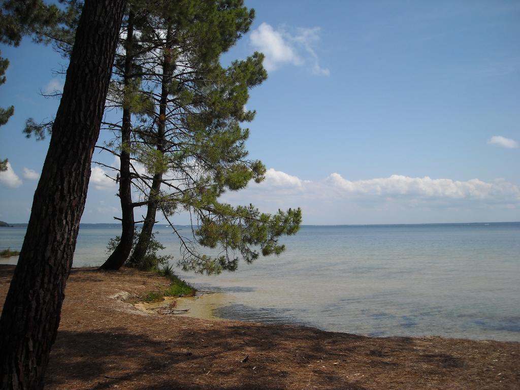 Studio Mansarde Climatise Les Roseaux Bord De Lac Бискаррос Экстерьер фото