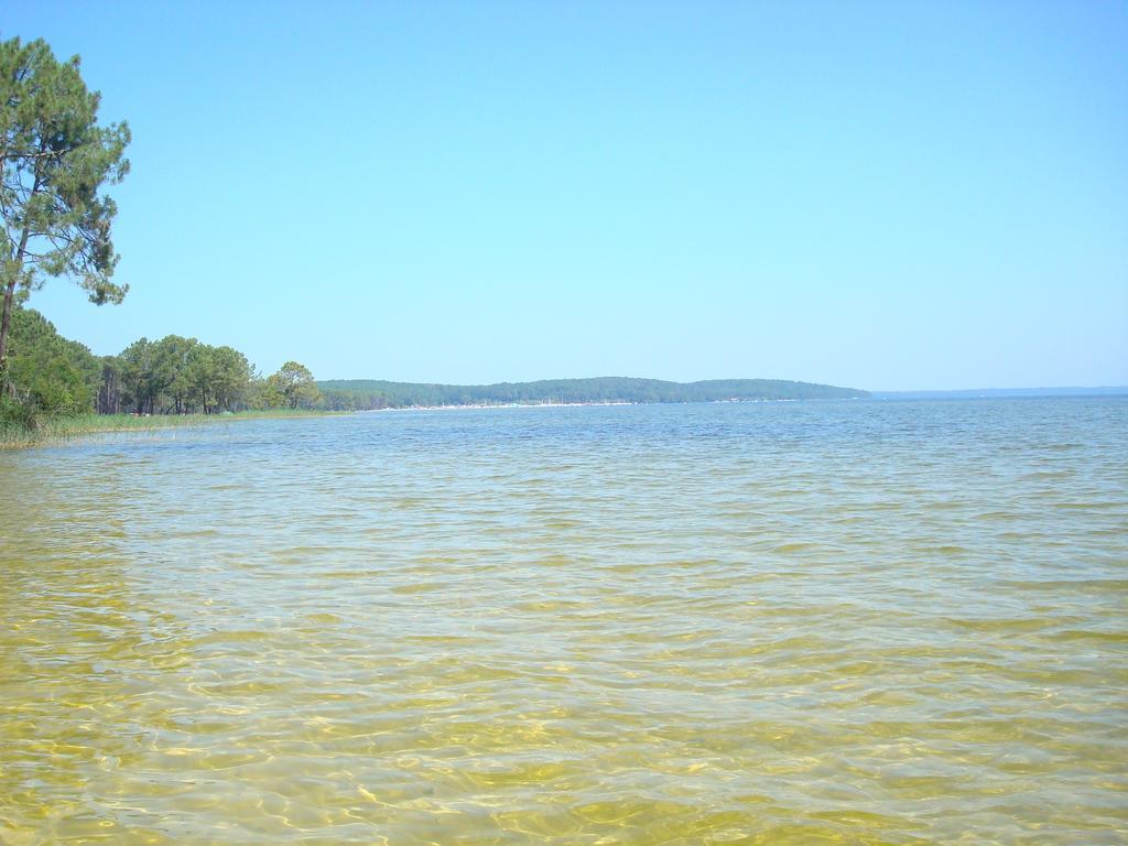 Studio Mansarde Climatise Les Roseaux Bord De Lac Бискаррос Экстерьер фото