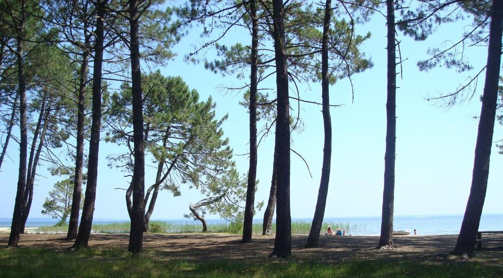 Studio Mansarde Climatise Les Roseaux Bord De Lac Бискаррос Экстерьер фото